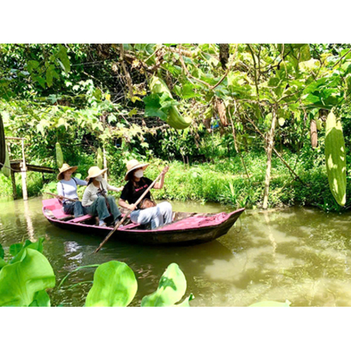 Các hoạt động chữa lành tại Tuấn Tường